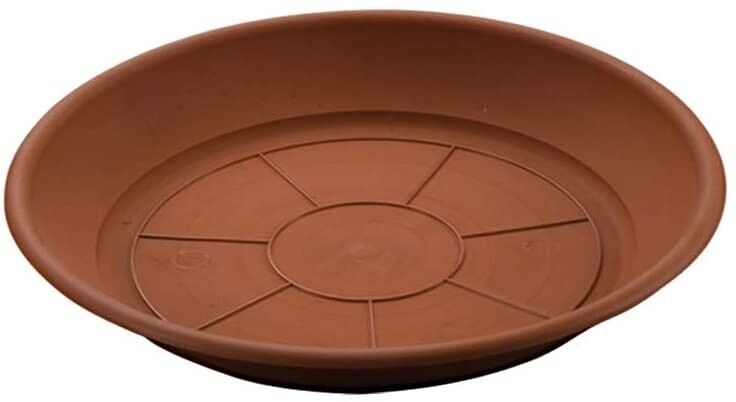 Pjata për vazo lulesh