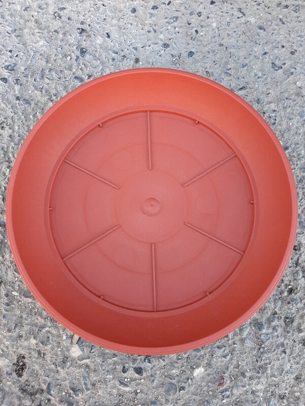 Pjate plastike 25cm