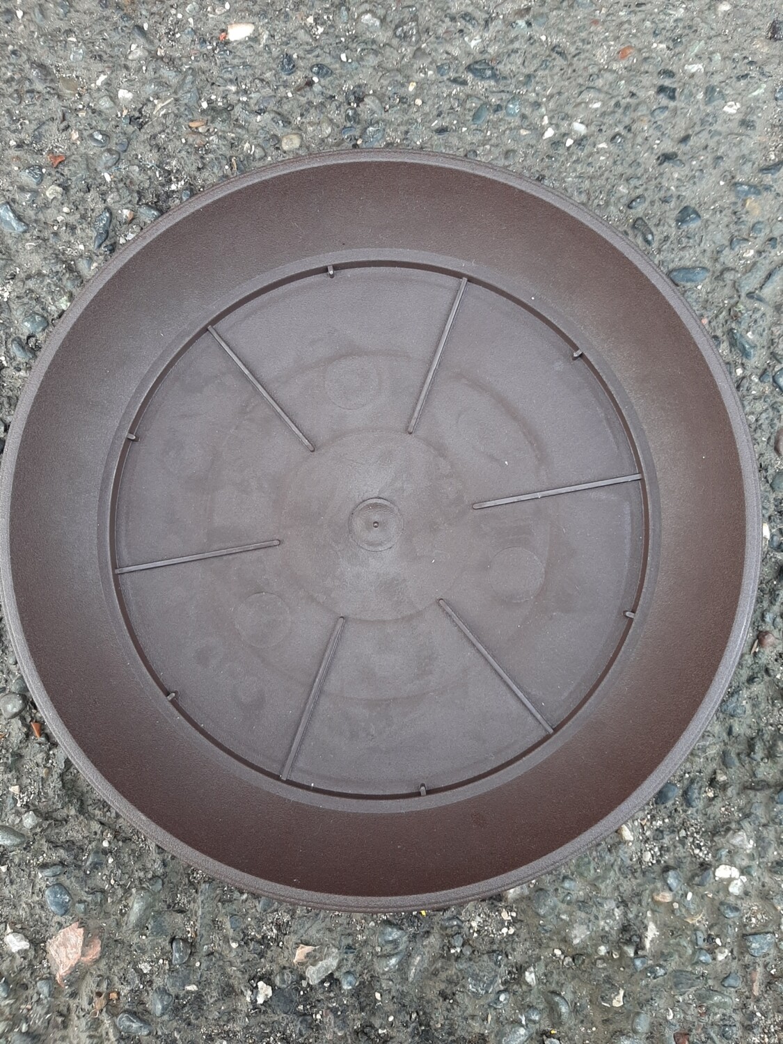 Pjate plastike 25cm