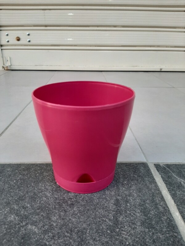 Vazo lulesh + pjata 14x14cm 1.4 litër