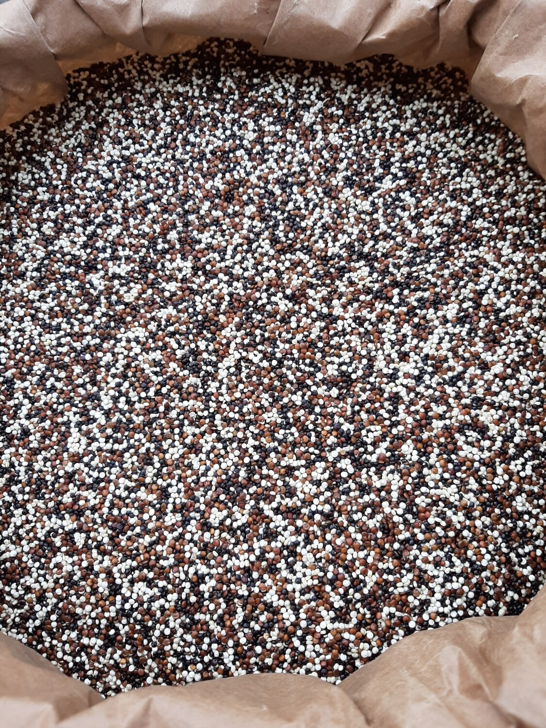 Quinoa 3 ngjyrëshe