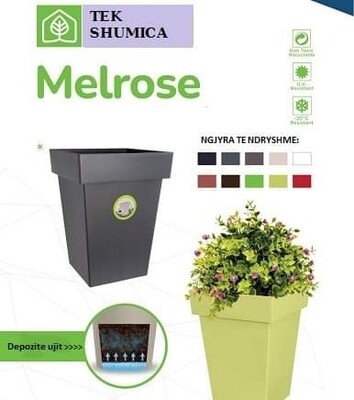 Vazo lulesh MELROSE