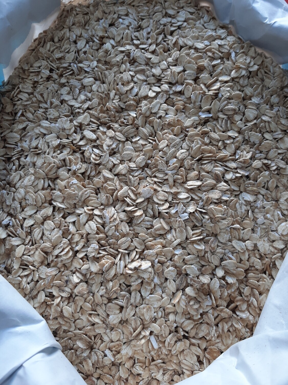 Tërshër kokërr e plotë
