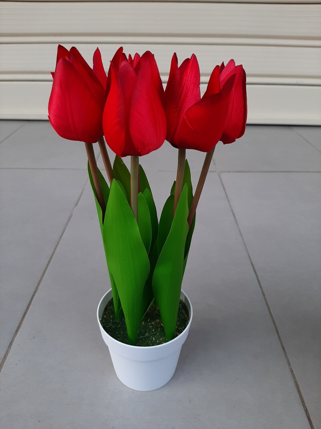 Lule Tulipan 30 cm
