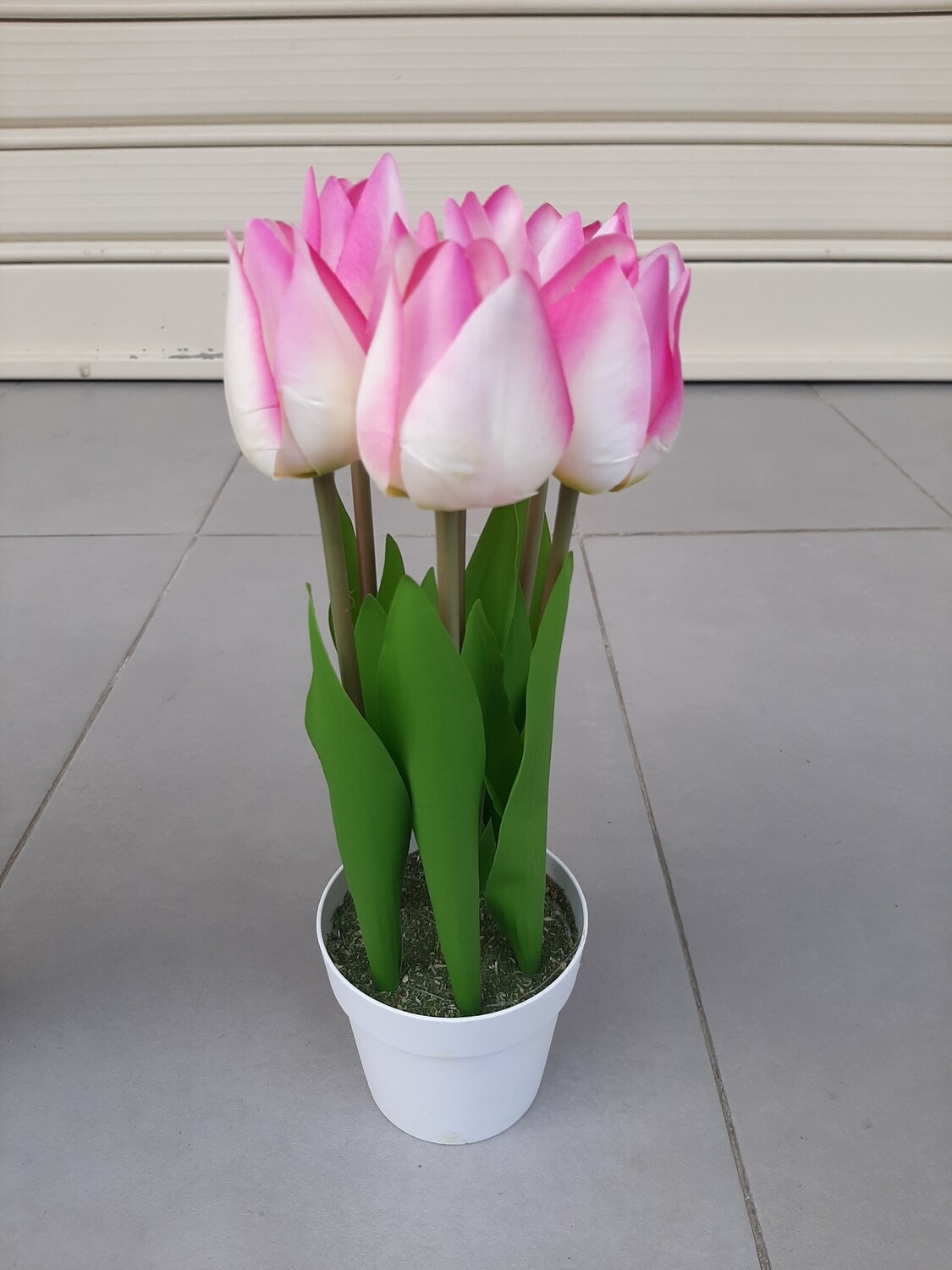Lule Tulipan 30 cm