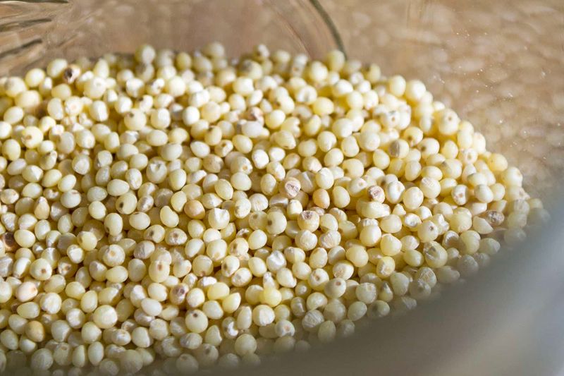 Mel (Millet)