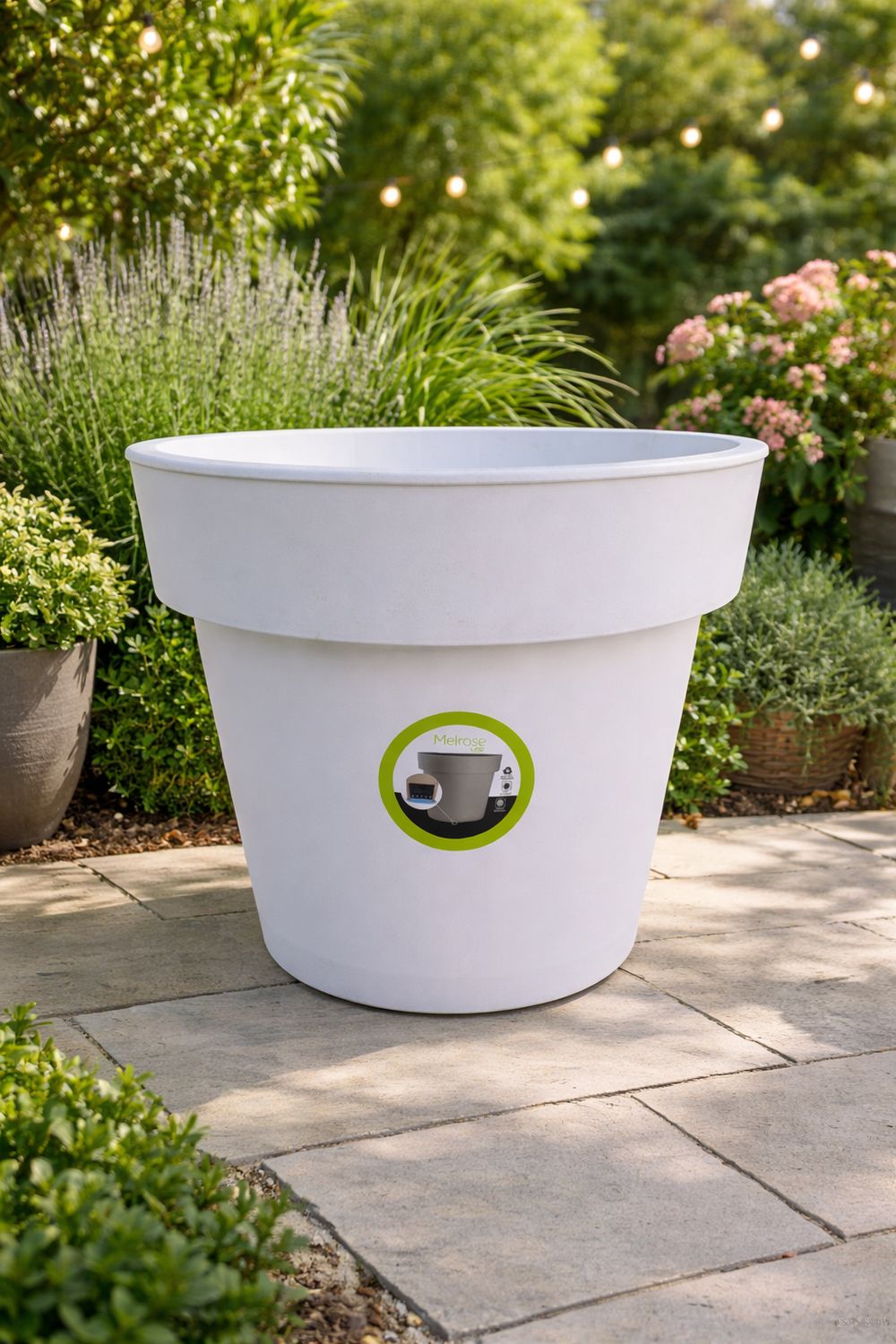 Vazo lulesh Melrose dopjo bordure 50cm 50 litër