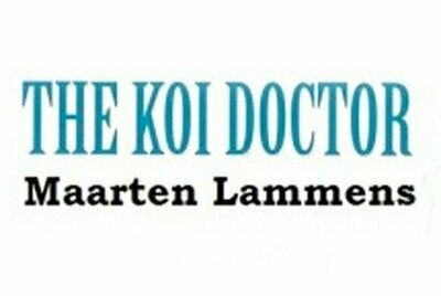 Koi Doctor