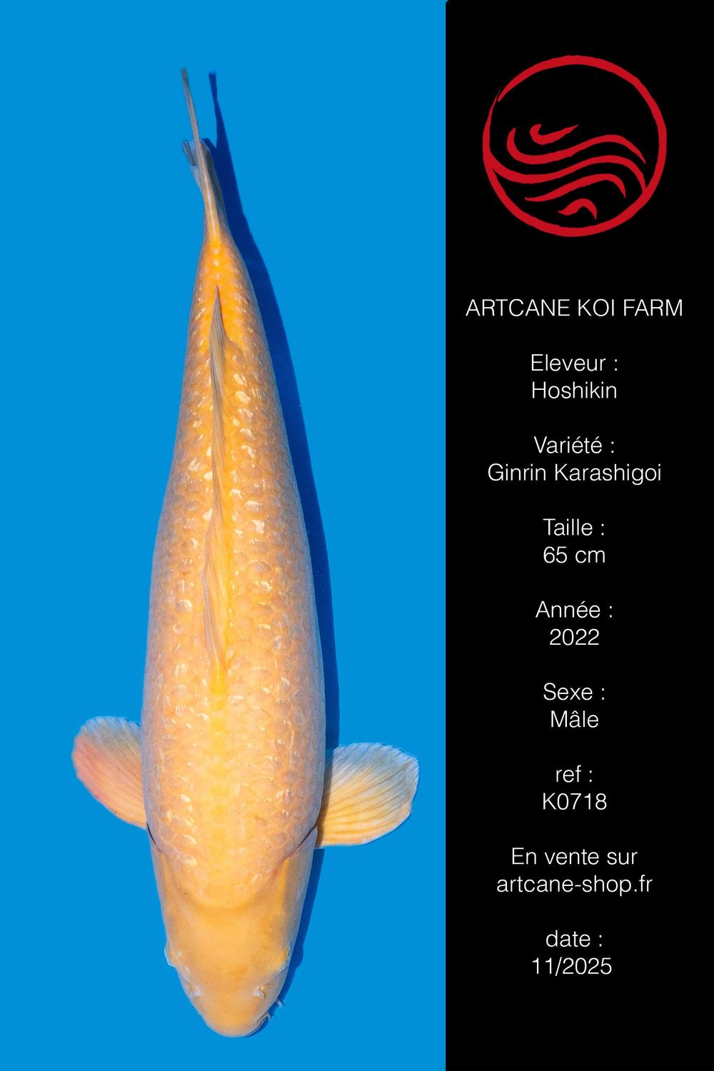 Ginrin Karashigoi Ginrin Karashigoi