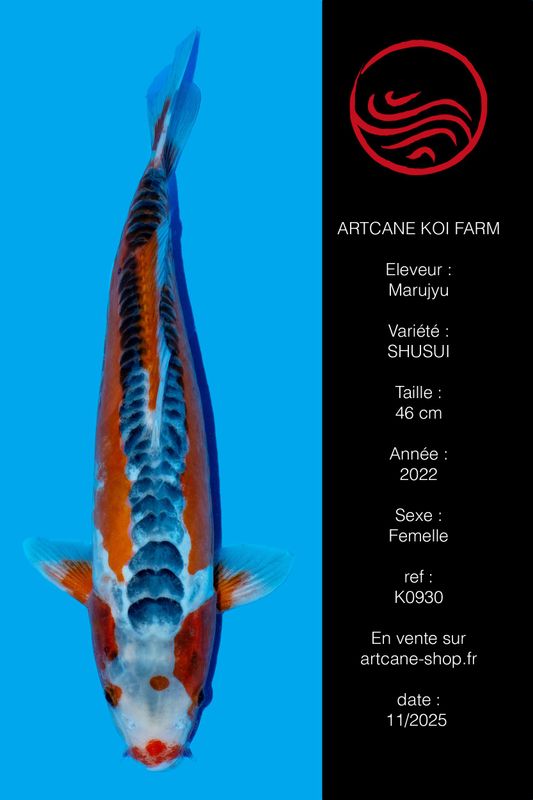 Shusui 46 cm Shusui 46 cm