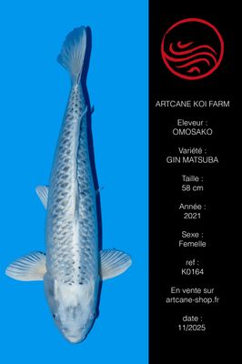 Gin Matsuba 58 cm Gin Matsuba 58 cm