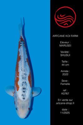 Shusui 44 cm Shusui 44 cm