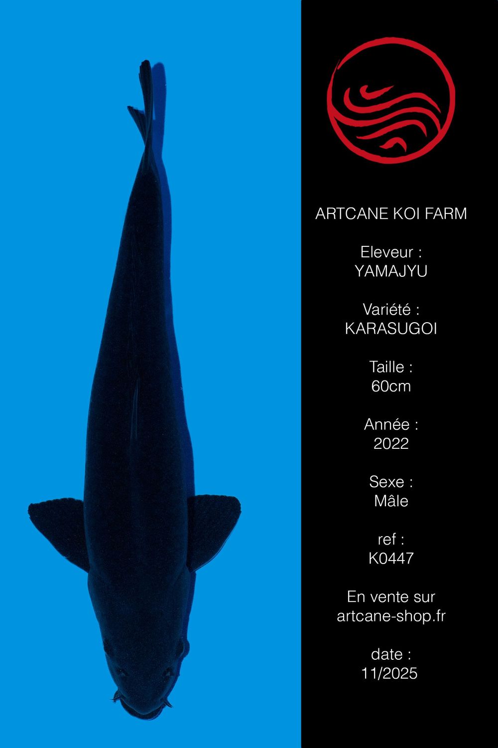 Karasugoi VHQ Karasugoi VHQ