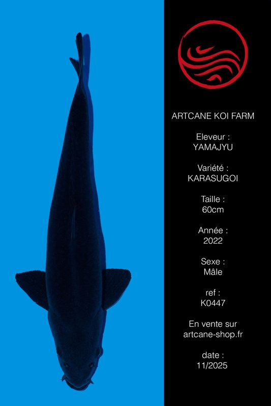 Karasugoi VHQ Karasugoi VHQ