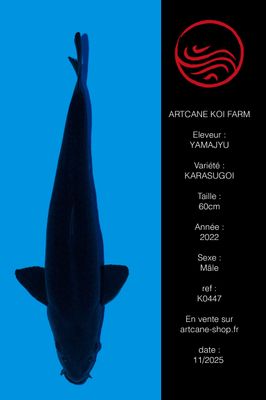 Karasugoi VHQ Karasugoi VHQ