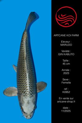 Gin Kabuto 45 cm Gin Kabuto 45 cm