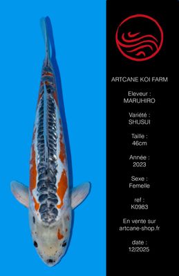 Shusui 46 cm Shusui 46 cm