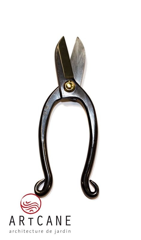 Ciseaux Ikebana  165 mm  Qualité prémium  Ryuga