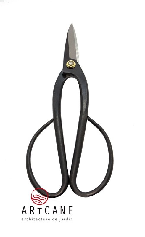 Ciseaux à bonsaï 210 mm  Qualité prémium  Komeri