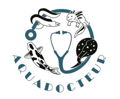 AQUADOCTEUR