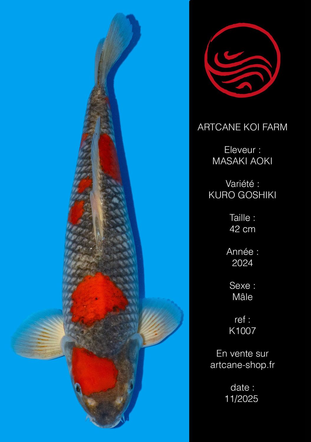 VENDU Kuro Goshiki 42 cm