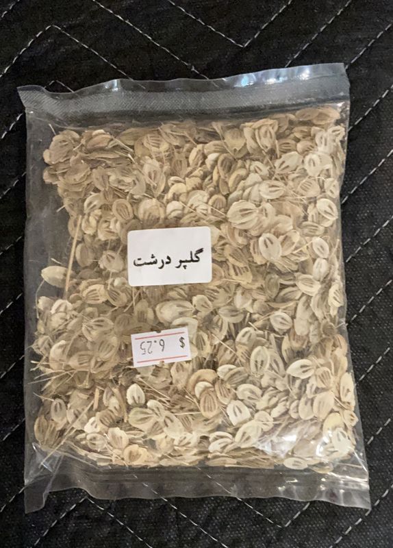 Coarse Angelica - Golpar Dorosht - Nakubideh