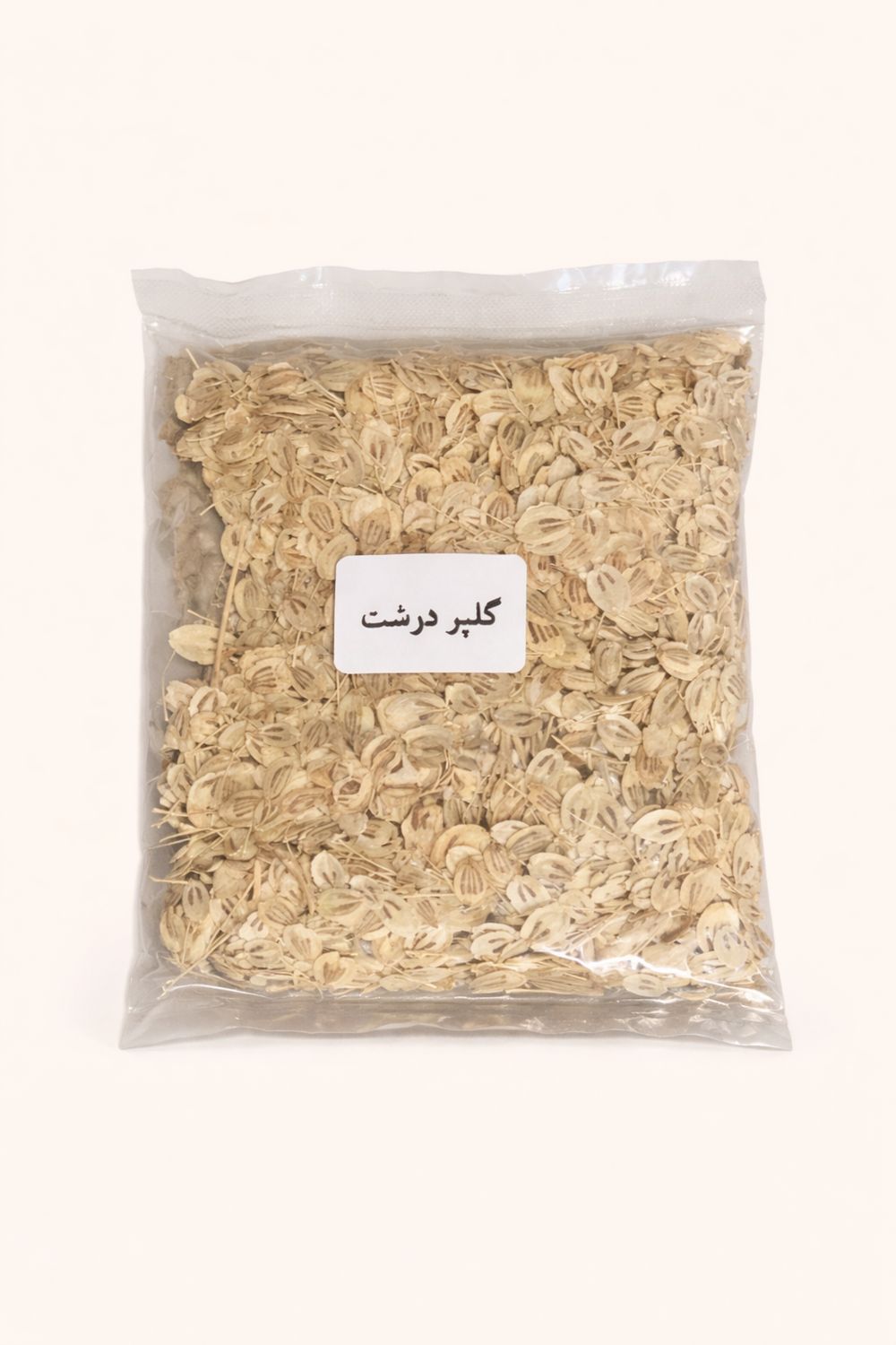 Coarse Angelica - Golpar Dorosht - Nakubideh