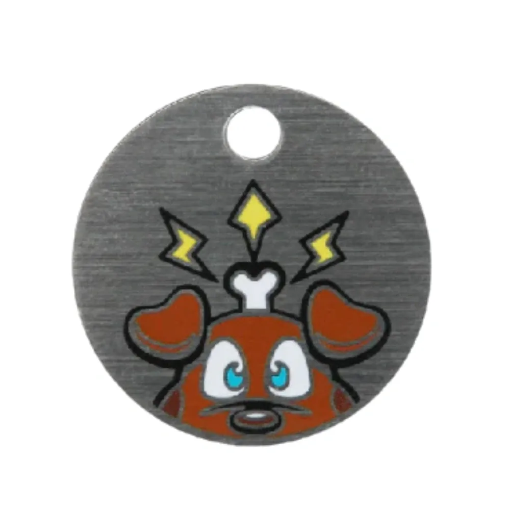 Log My Dog Travel Tag