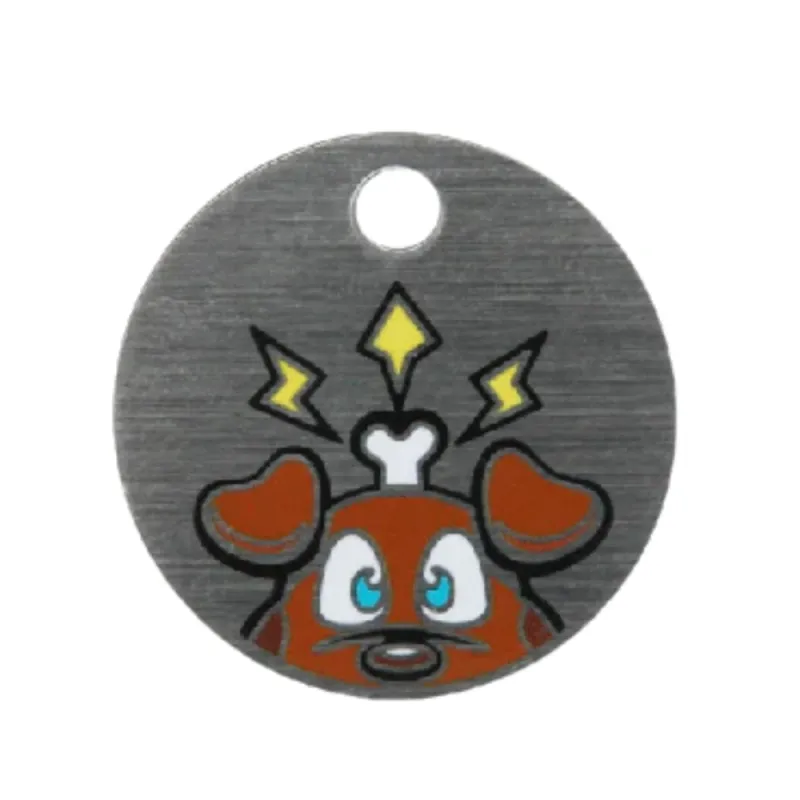 Log My Dog Travel Tag