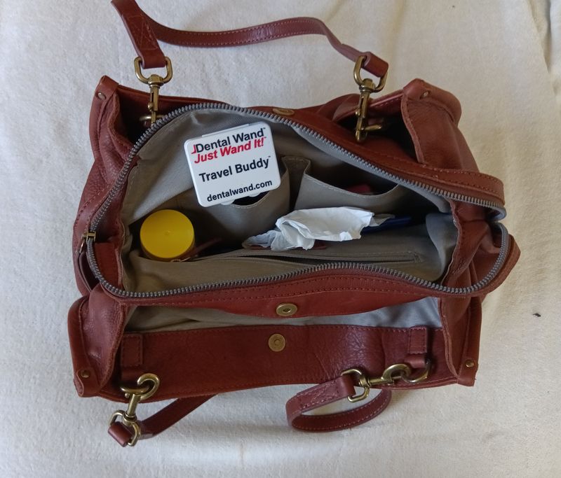 Travel Buddy Carrying Case