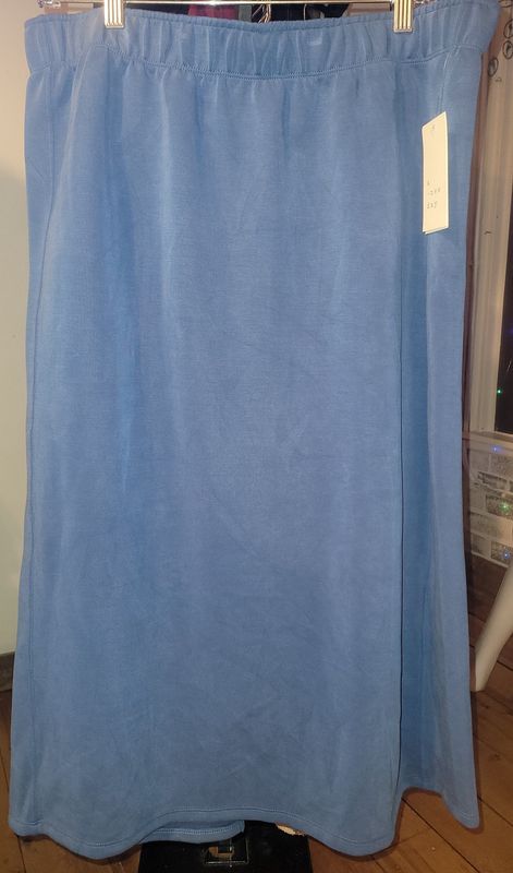 Long Blue Skirt