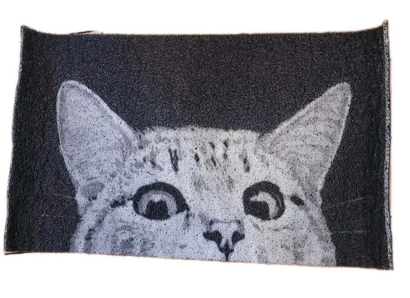 Cat Rug for high traffic area