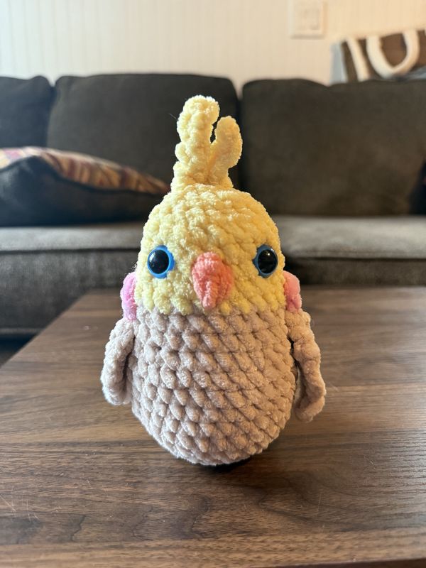 Baby cockatiel