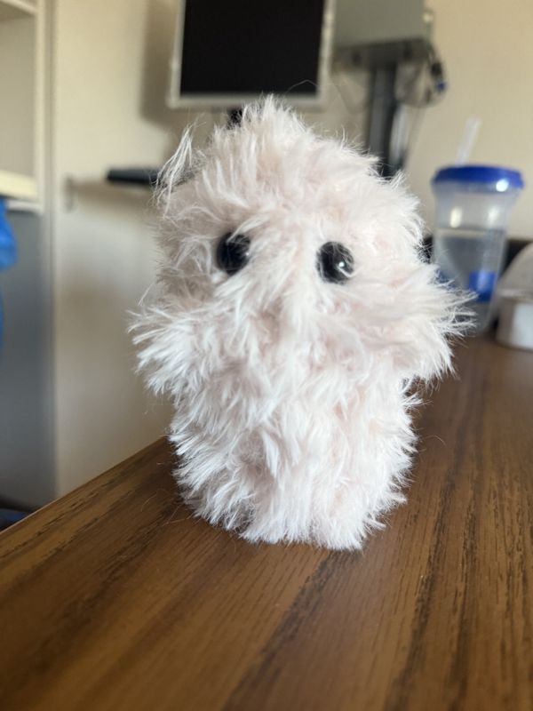 Fuzzy Ghosts