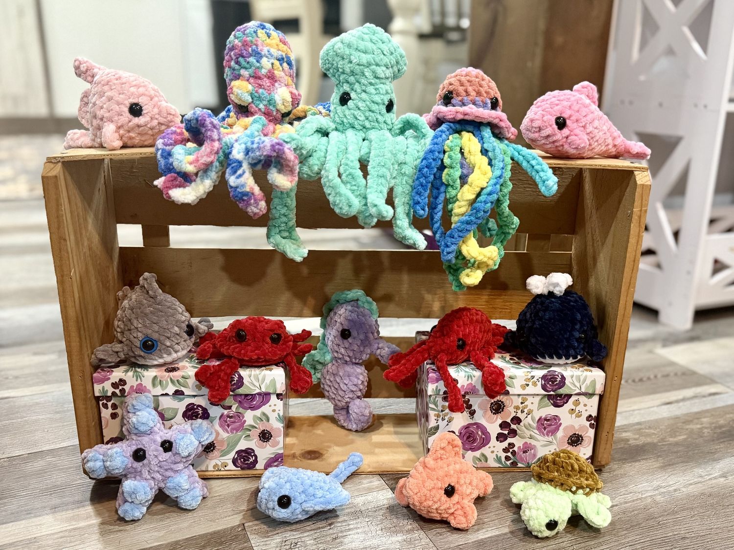 Sea Life Mystery Boxes