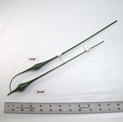 BE0141 Dark Forest Green Bulbs