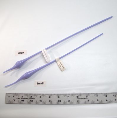 BE0142 Neo-Lavender Bulbs