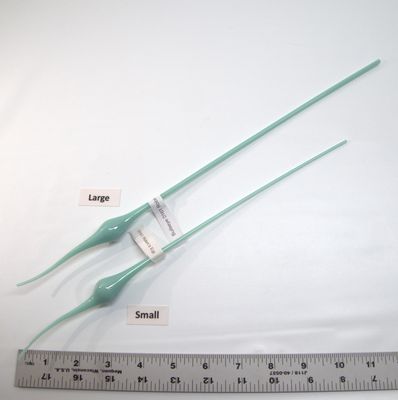 BE0161 Robin&#39;s Egg Blue Bulbs