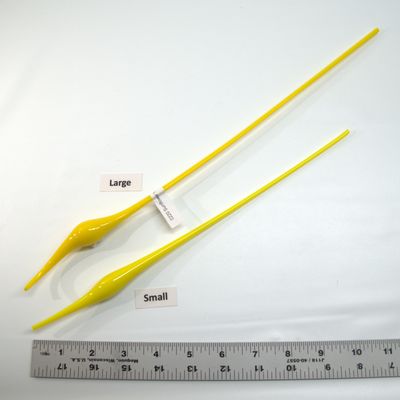 BE0220 Sunflower Yellow Bulbs