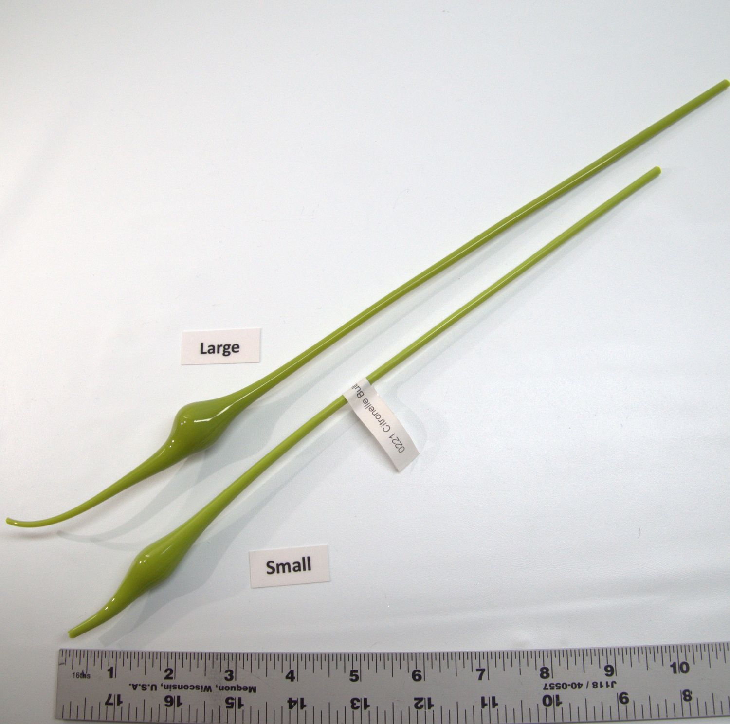 BE0221 Citronelle Bulbs