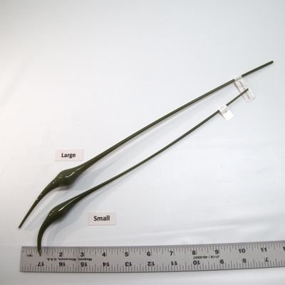 BE0241 Moss Green Bulbs