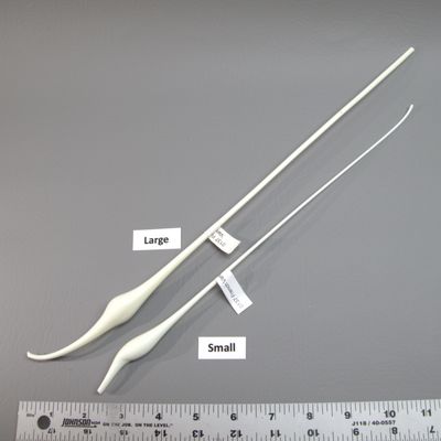 BE0137  French Vanilla Bulbs