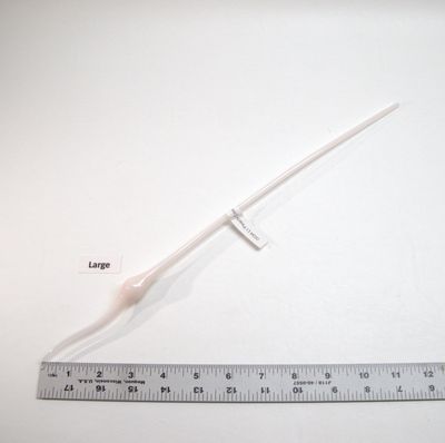 BE0034 Light Peach Cream Bulbs