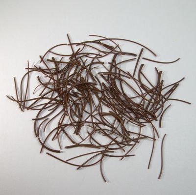 BE0203 Woodland Brown Snippets