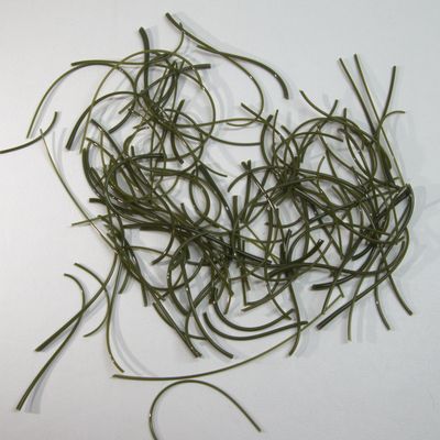 BE0241 Moss Green Snippets