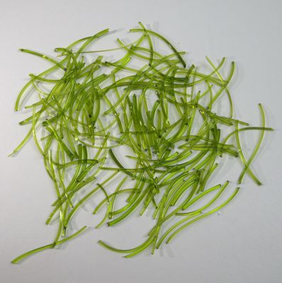 BE1426 Spring Green Snippets