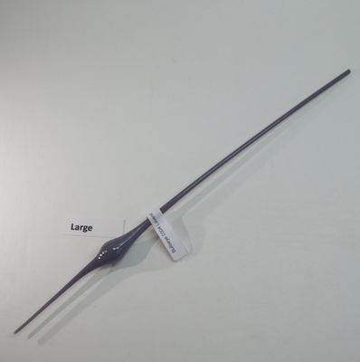 BE0304 Lavender Bulbs