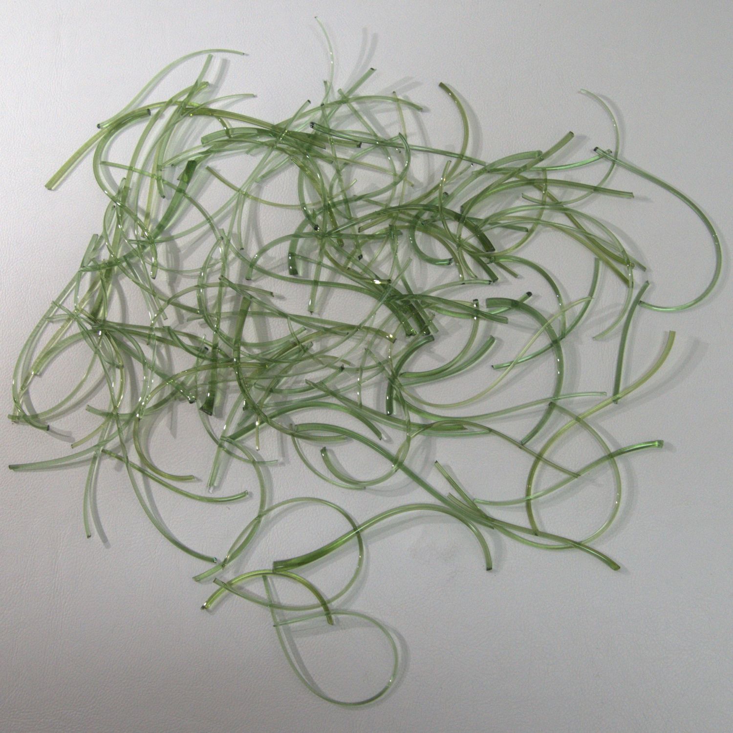 BE1207 Fern Green Snippets