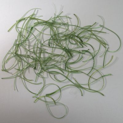 BE1207 Fern Green Snippets