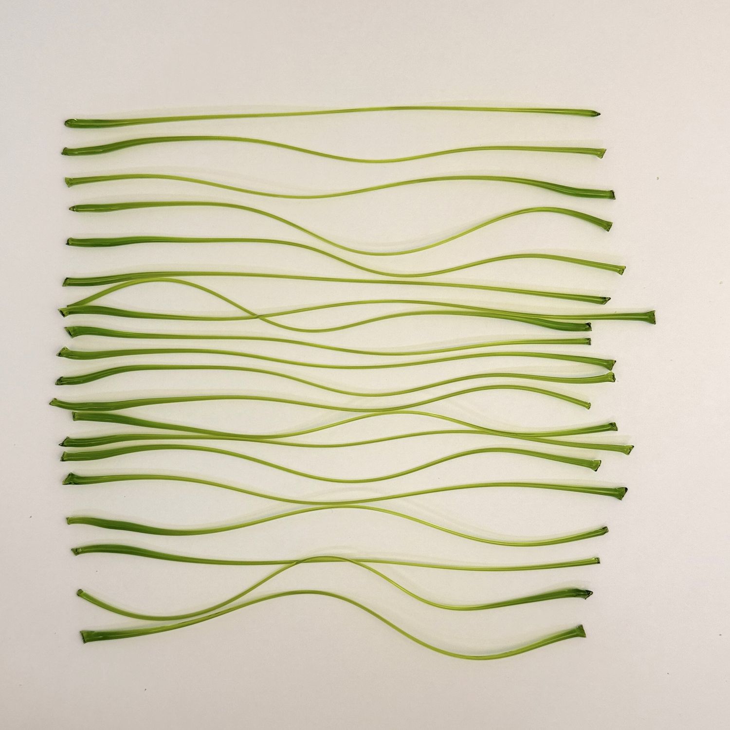 BE1426 Spring Green Vitrigraph Shorts